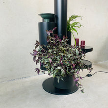 Load image into Gallery viewer, Large Floor Lamp and Plant Stand &quot;Close Encounter&quot; by Kerst Koopman, Netherlands 1980
