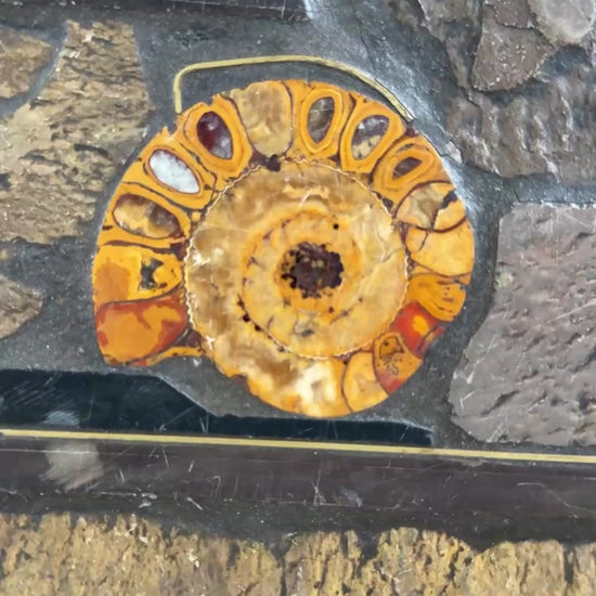 Brutalist Round Slate Stone Ammonite Coffee Table, Netherlands 99